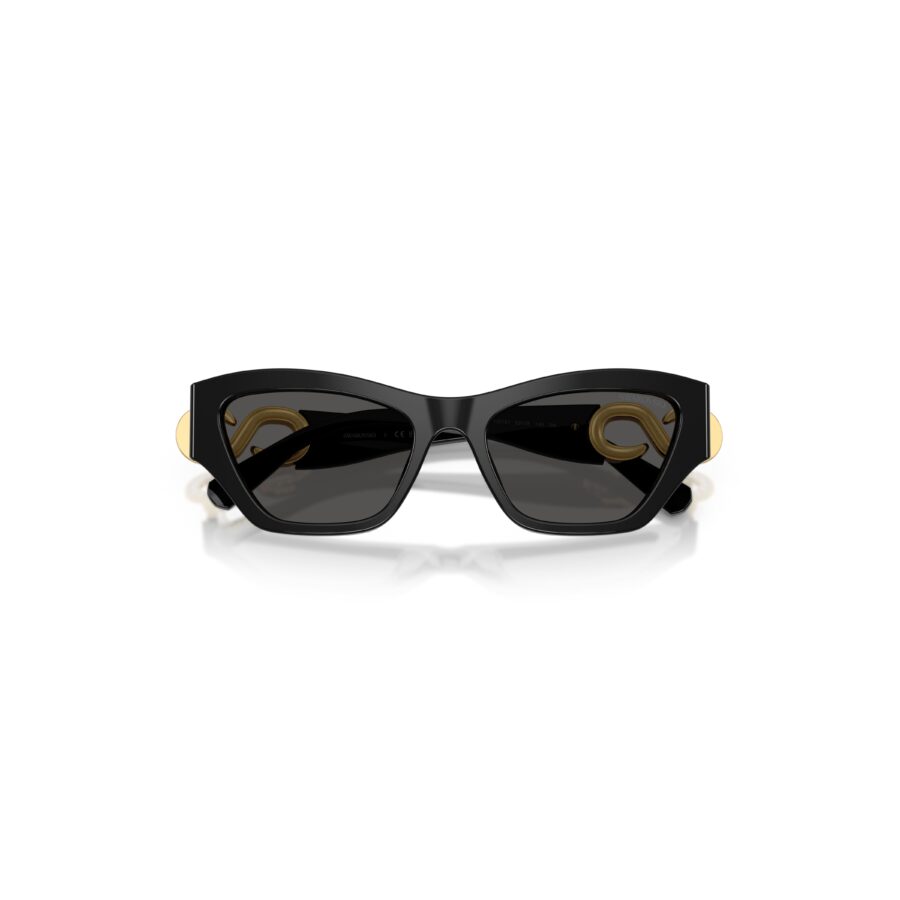 Swarovski Suncane naocale, Cat-eye oblik, SK6076, Crna